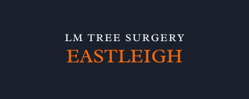 LM Tree Surgery Eastleigh